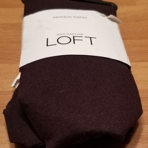Ann Taylor Loft Brown Tights